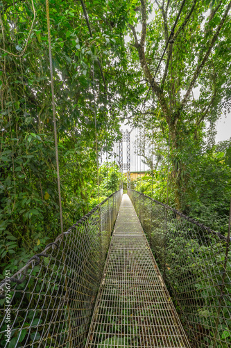 Looking to the end of the long rope bridge over the jungle canopy