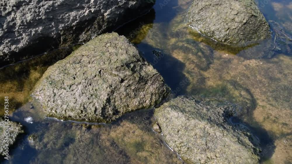 Background of large stones in the water on the river. Background of large stones in the water on the river.