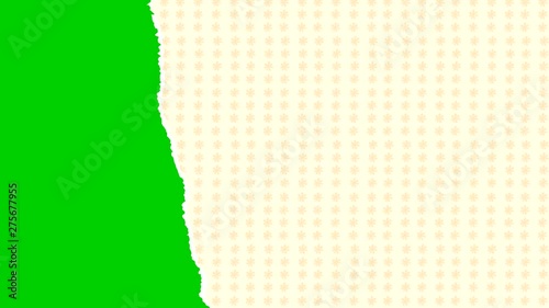 Formation of green screen,green background,alpha channel to use your ideas.Animated video.