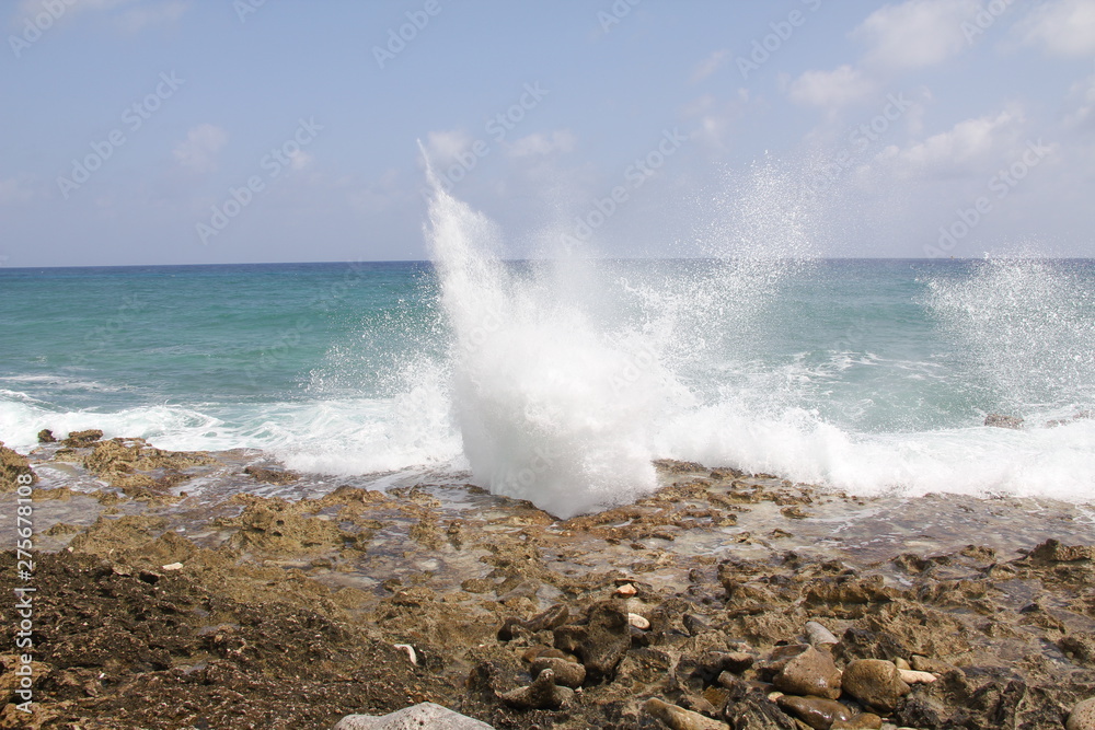 Fototapeta premium grand cayman island beach summer