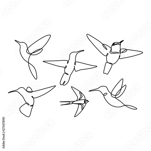 bird continuous line drawing set collections design on white background