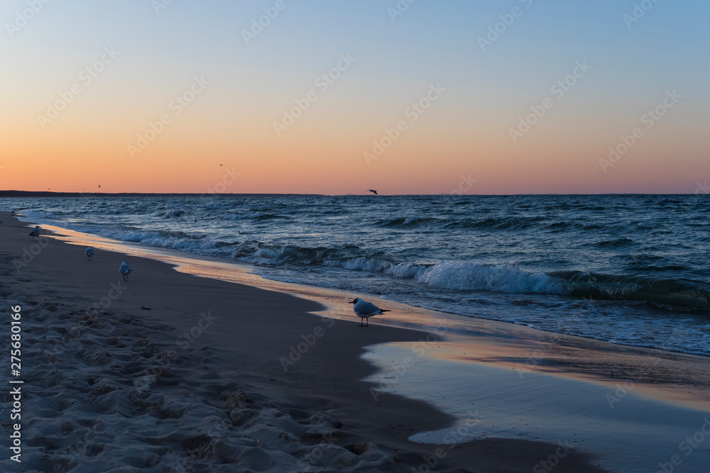 Usedom baltic sea sunset light outdoor