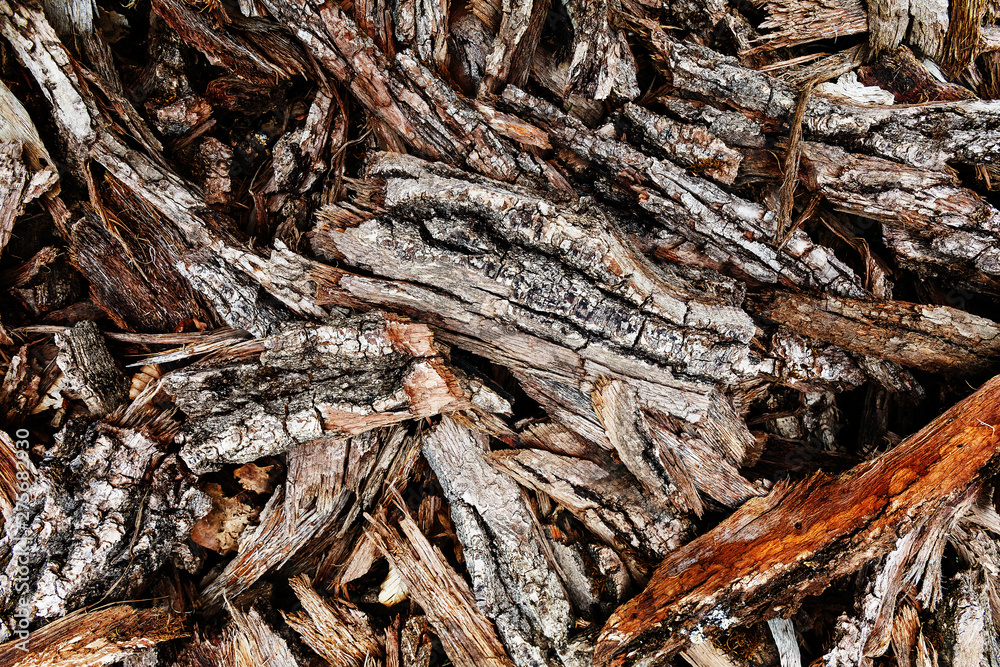 Chips of tree bark on the ground. Sawmill. Ecological background Chips of tree bark on the ground. Sawmill. Ecological background