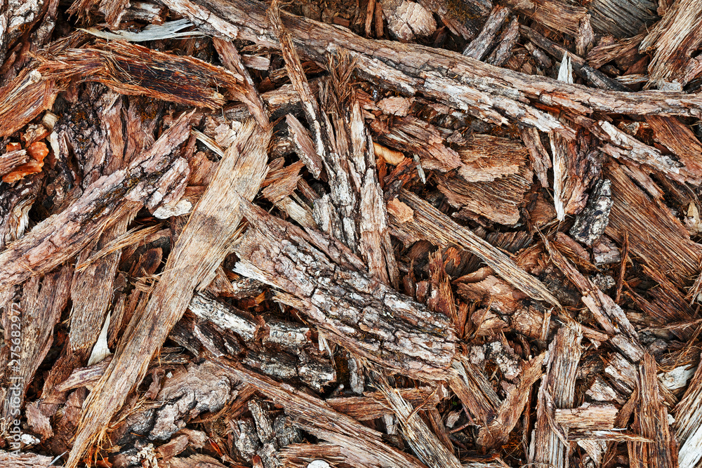 Chips of tree bark on the ground. Sawmill. Ecological background Chips of tree bark on the ground. Sawmill. Ecological background