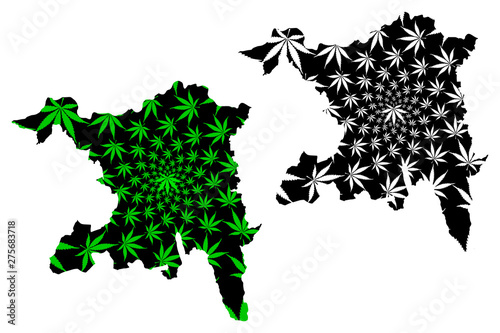 Aargau (Cantons of Switzerland, Swiss cantons, Swiss Confederation) map is designed cannabis leaf green and black, Canton of Argovia map made of marijuana (marihuana,THC) foliage.... photo