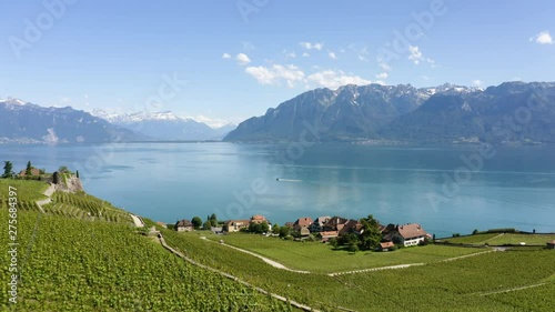 Aerial low flight above Lavaux vineyard descending towards Rivaz village and Lake Leman. The Alps in background, Switzerland photo