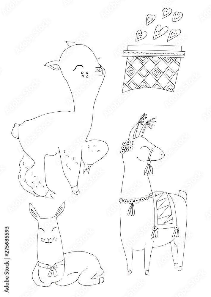 Fototapeta premium Illustration of a black ink drawing of an animal alpaca among flowers and plants on an isolated white background.