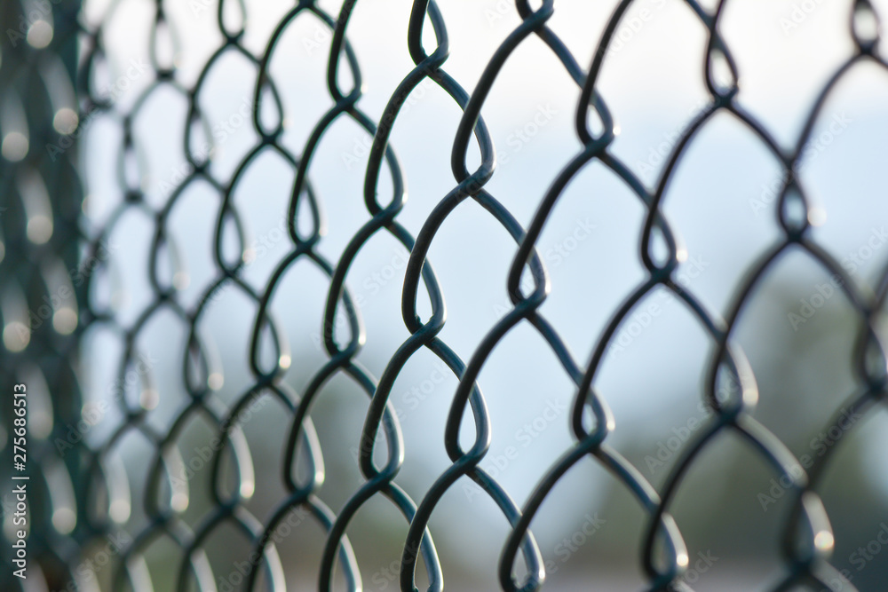Fototapeta premium The grid the chain-link encloses the protected territory.