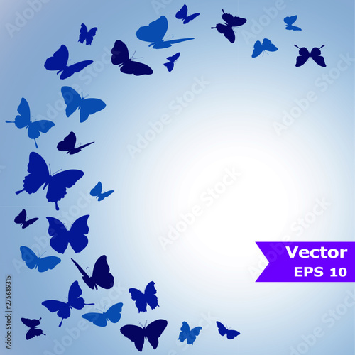 butterflys background vector 