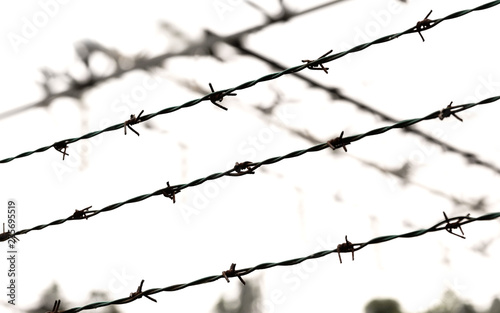 barbed wire also on the border without people