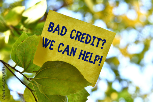 Word writing text Bad Credit Question We Can Help. Business photo showcasing offering help after going for loan then rejected Piece of square paper use to give notation on tree leaf under sunny day