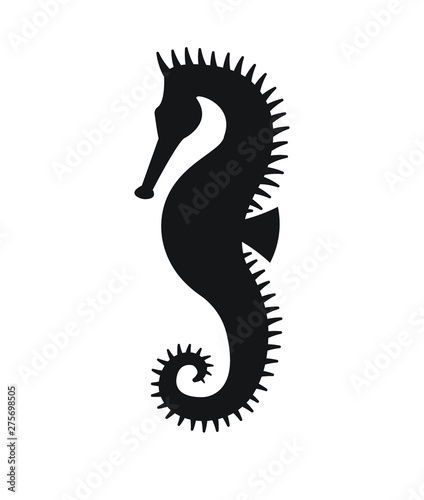 Vector flat black silhouette of sea horse seahorse isolated on white background