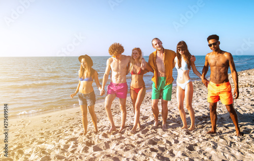 Group of friends having fun on the beach © alphaspirit