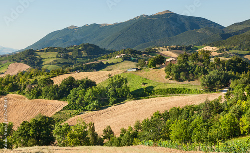 Hilly countryside of le Marche, Italy