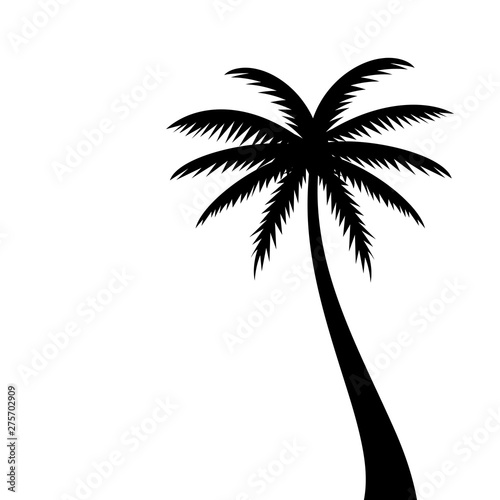 Coconut palm tree vector silhouette