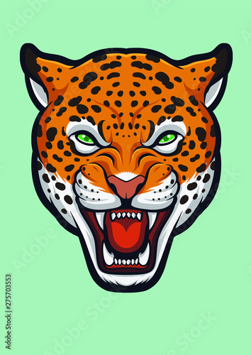 Angry Jaguar face, Panthera Onca