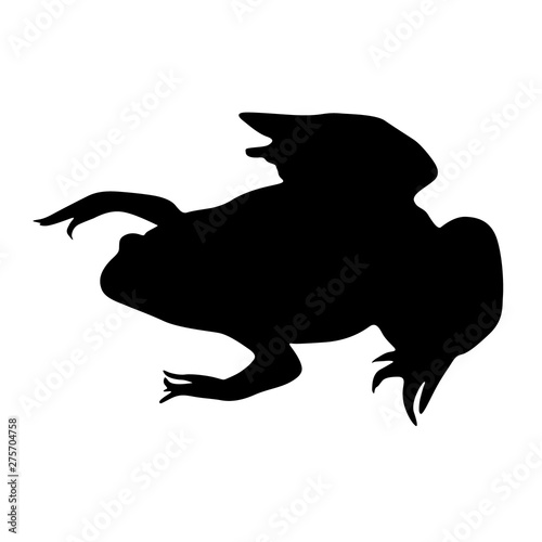 African Clawed Frog Silhouette Isolated On White