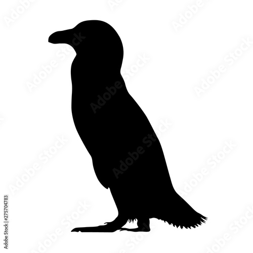 African Penguin Silhouette Vector Style