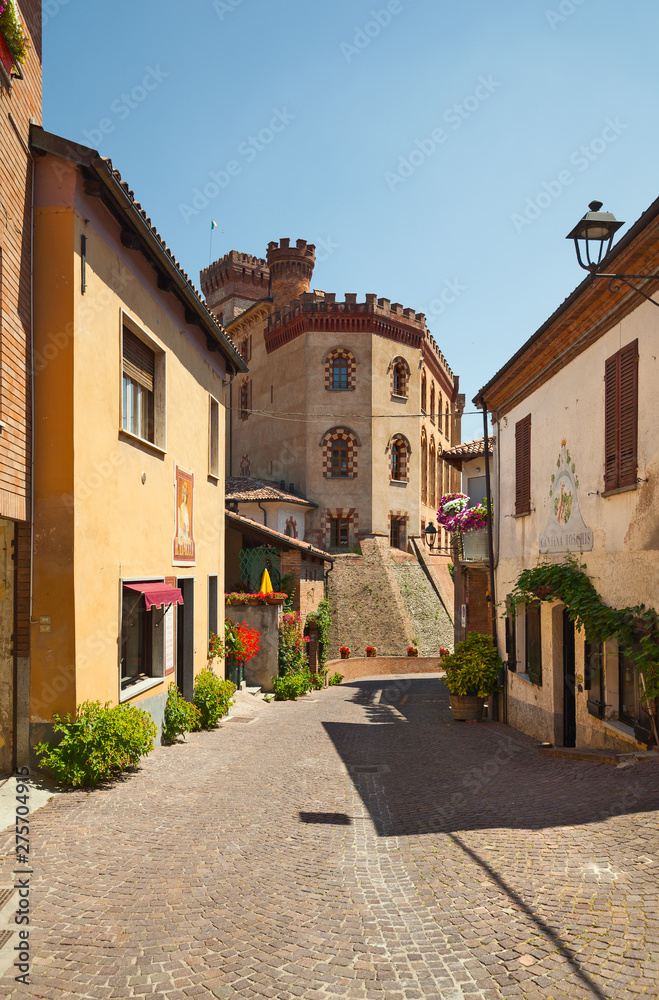 The castle of Barolo, Italy
