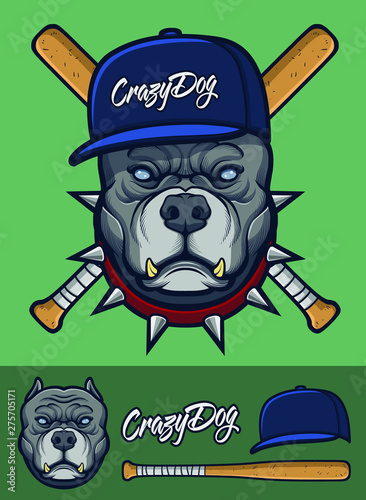 Grey Pitbull with Spiked collar and baseball bats.