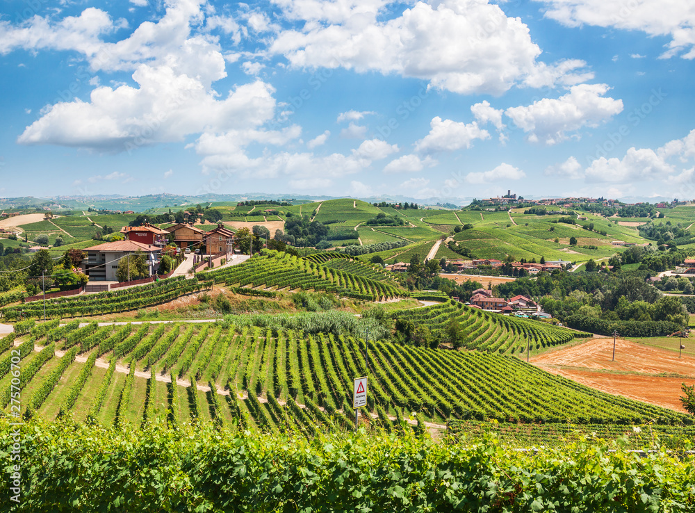 Panorama of Piedmont vineyards