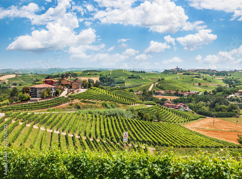 Panorama of Piedmont vineyards