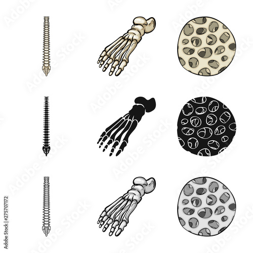 Vector design of medicine and clinic icon. Collection of medicine and medical stock symbol for web.