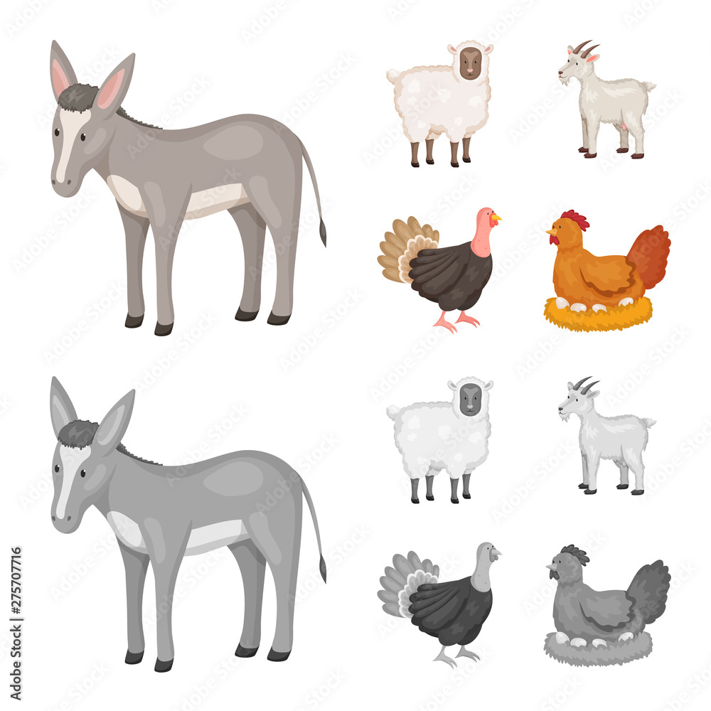 Vector illustration of breeding and kitchen sign. Set of breeding and organic stock symbol for web.