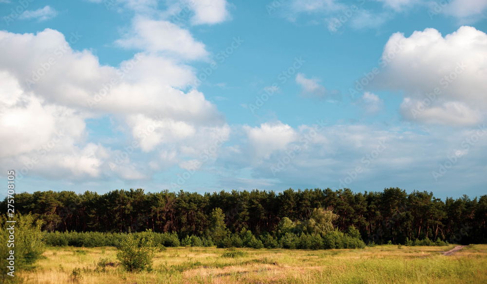 beautiful summer horizon