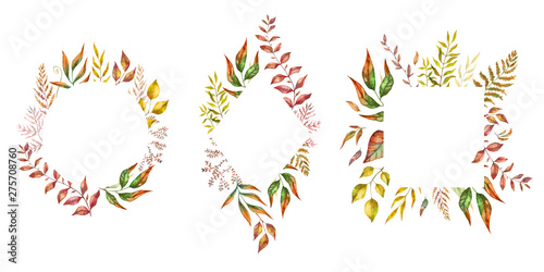 Fototapeta Naklejka Na Ścianę i Meble -  Herbal mix vector frame. Hand painted plants, branches and leaves on white background. Natural fall card design.