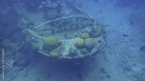 Underwater Views around the Caribbean island of Curacao