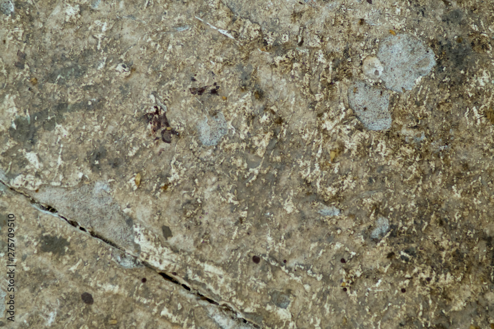 Concrete, textural background with blue, gray and black splashes of various sizes. Concrete, textural background with blue, gray and black splashes of various sizes.