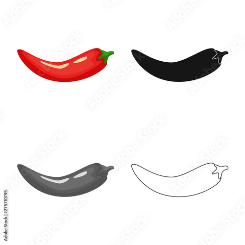 Isolated object of pepper and red logo. Set of pepper and cook stock symbol for web.