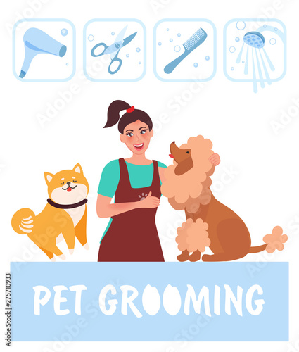 Dog groomer. Professional dog care and hygiene