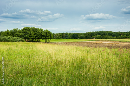 View of green meadows, forest on the horizon and blue clouds