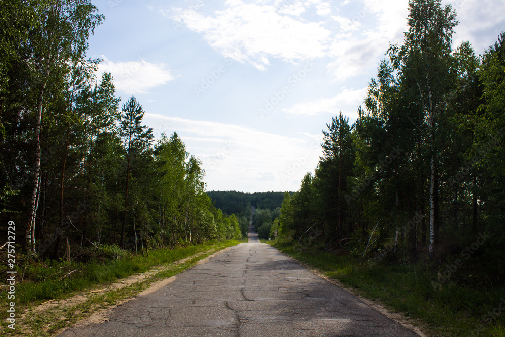 Obraz premium The road in the forest clear year-old day