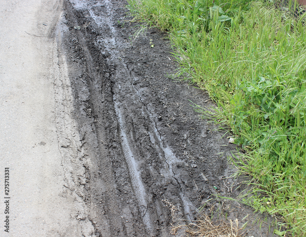 tire imprint in dirt on dirt road, green grass tire imprint in dirt on dirt road, green grass