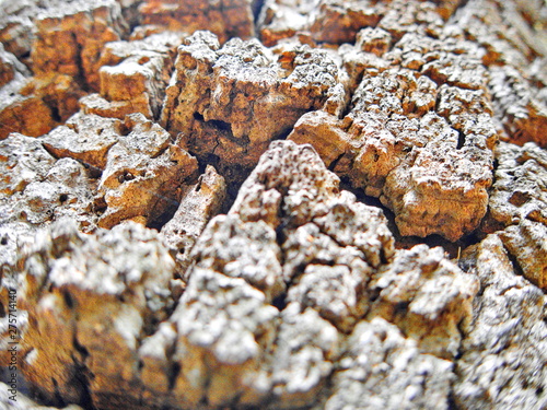фотографія CorkStone Texture