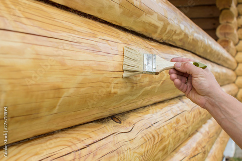 Applying varnish paint on a wooden surface. Man hand with a brush  closeup. Painting walls of a log house. photo