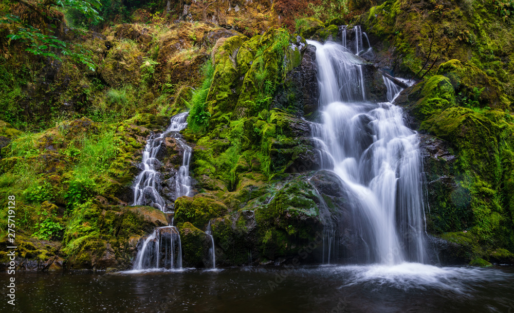 Obraz premium Little Mashel Falls In Washington State