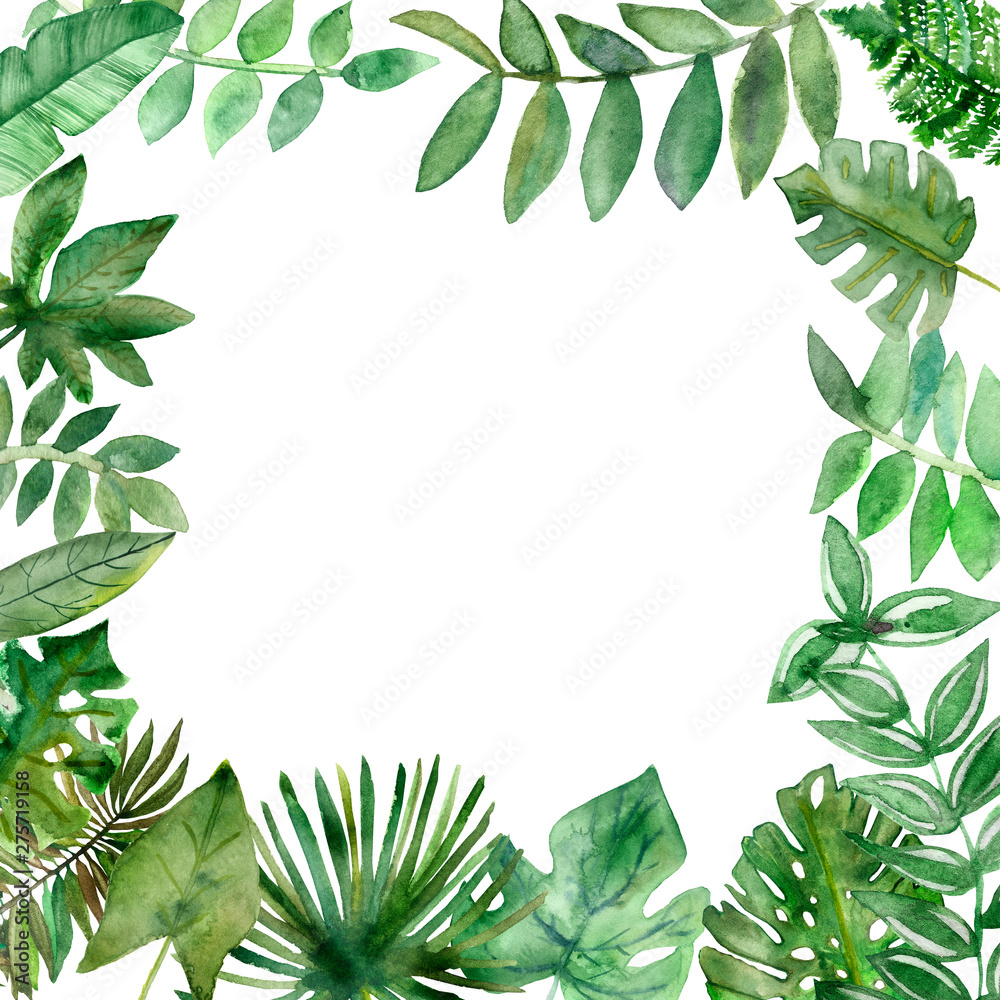 Watercolor painting tropical leaves and branches of fern, palm trees, vines. Hand painted frame of tropical plants isolated on white background. Watercolor painting tropical leaves and branches of fern, palm trees, vines. Hand painted frame of tropical plants isolated on white background.