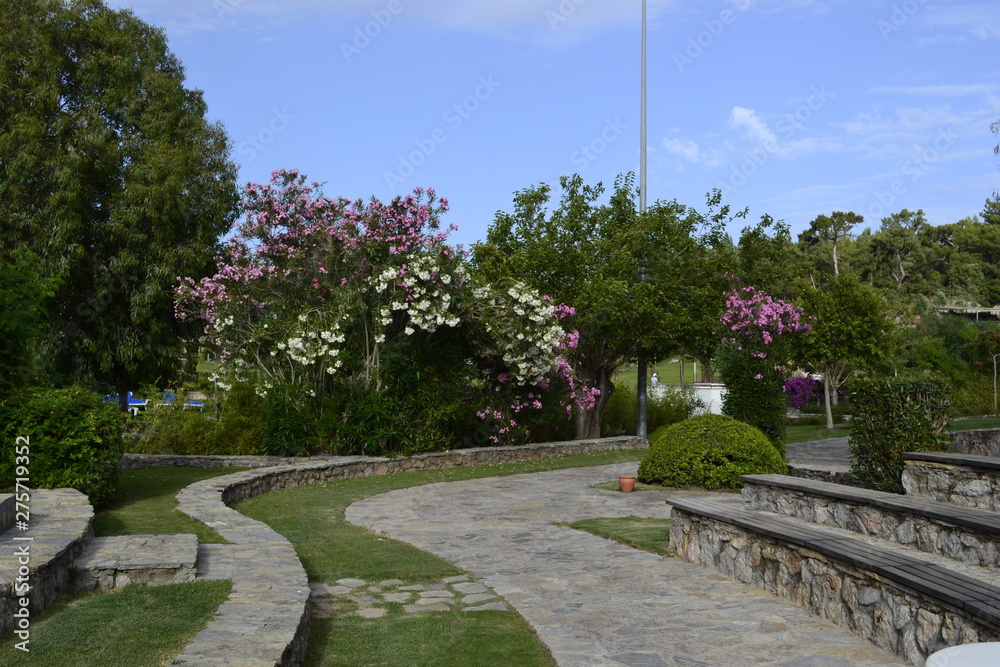 Obraz premium fountain in the park