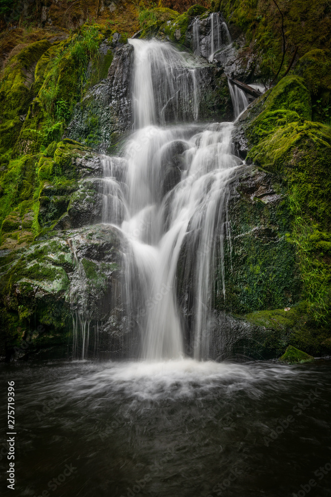 Fototapeta premium Little Mashel Falls In Washington State