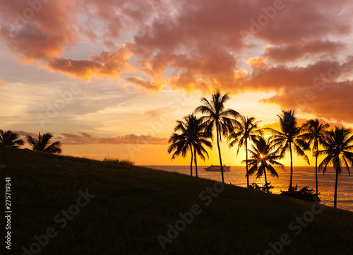 Tropical Hawaii golden sunset