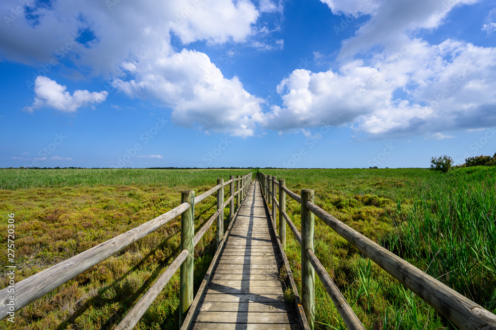 Ballade au Pont de Rousty, Camargue