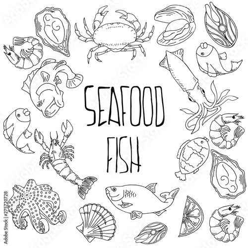 Set of hand drawn seafood, Healthy food drawings set elements for menu design. Vector illustration