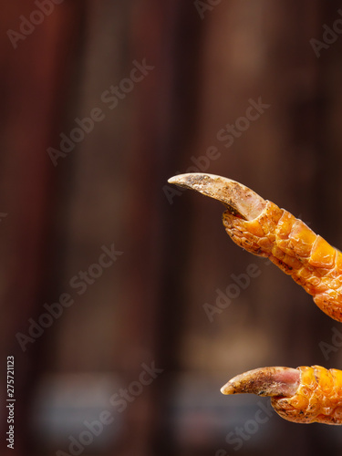 claw of dead chicken with blurry background