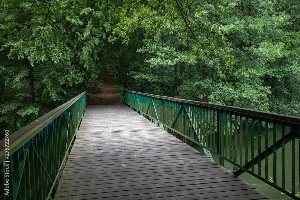 Footbridge over the water leading to the park. Passage over the water in the forest area.
