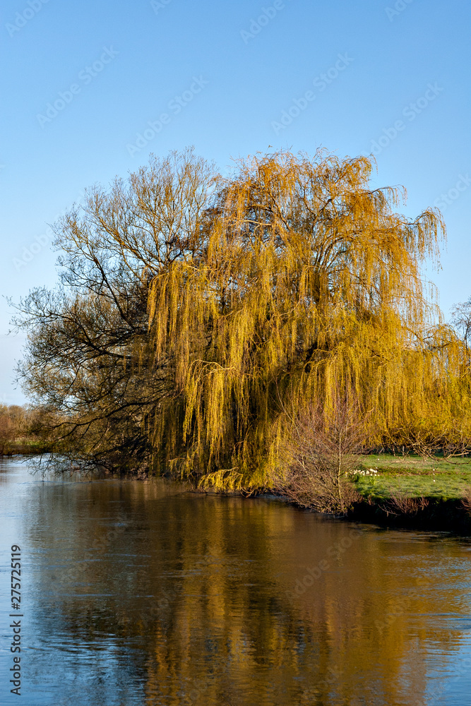 Obraz premium View along a stream in England
