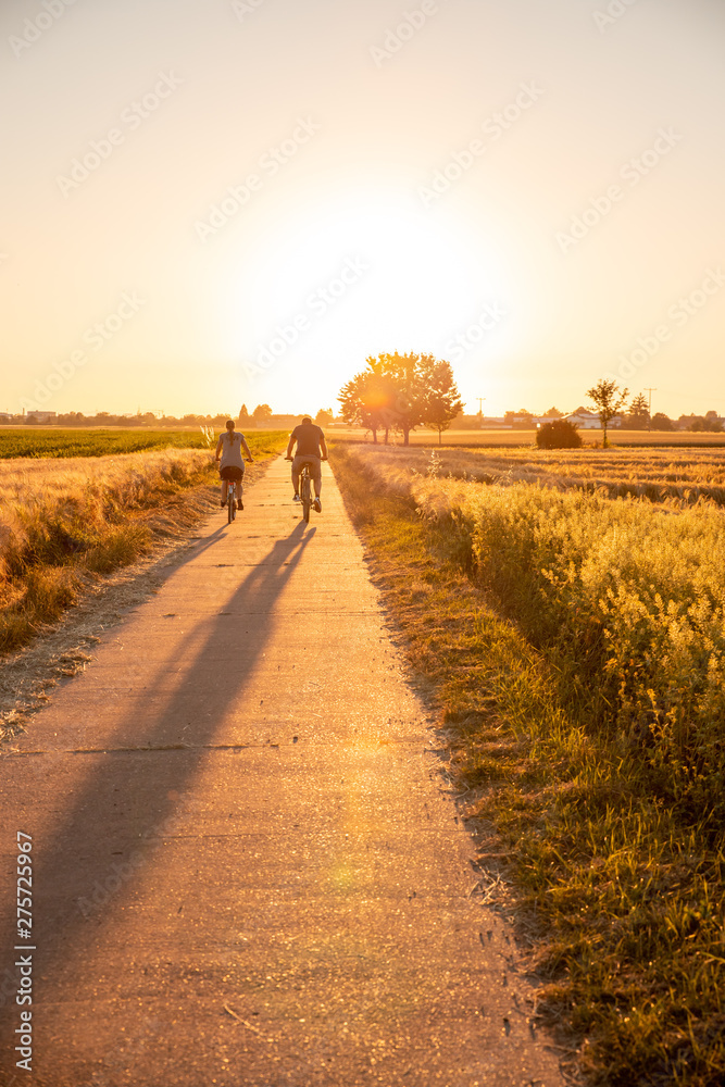 Fototapeta premium Radfahrer im Sonnenuntergang im Sommer